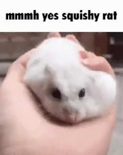MhHmmdhMR
