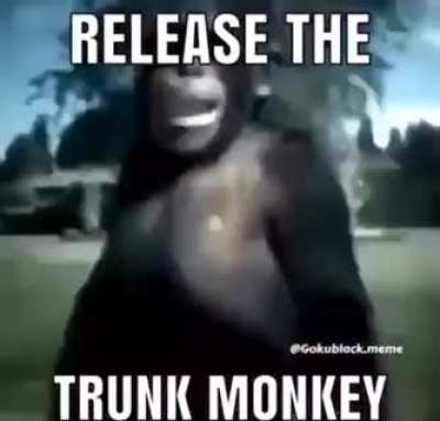 Those motherfuckers just died.