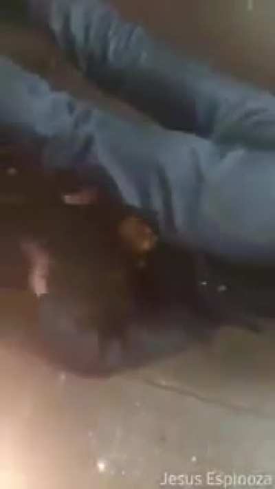 "@@@@@@@@@@@"