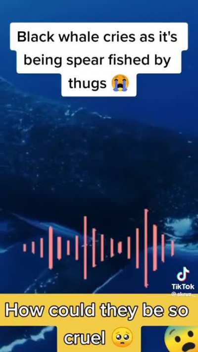 Does anyone have the actual video to this audio