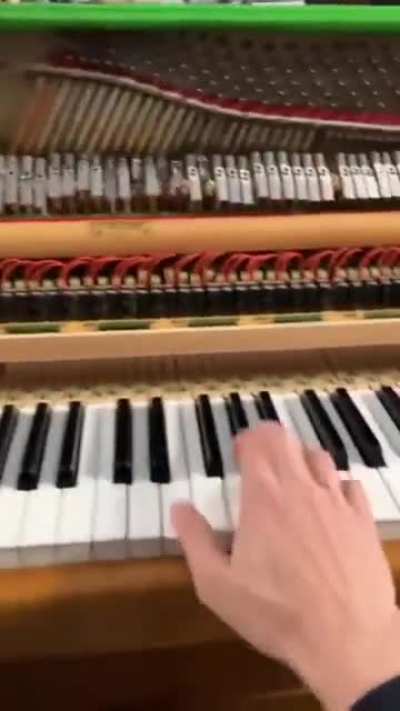 Electric Piano from Wish