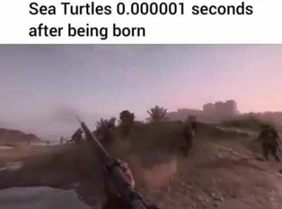 The great sea turtle advance of 1918