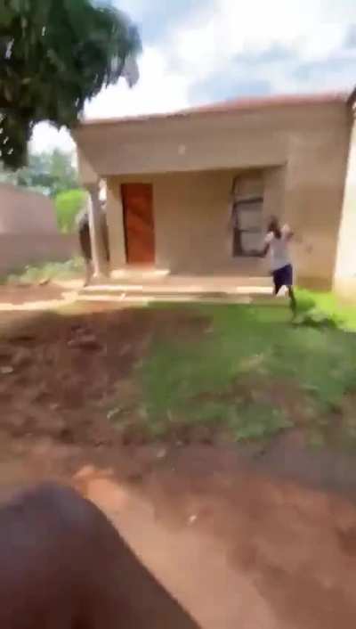 Who Let The Elephant Out😅😅