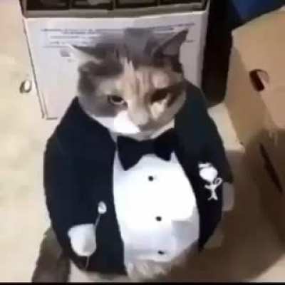 I am following the rule