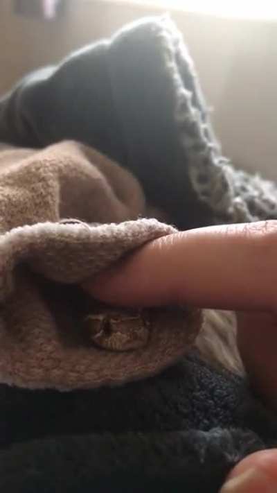 Socks n sneks