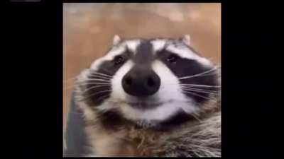 Him