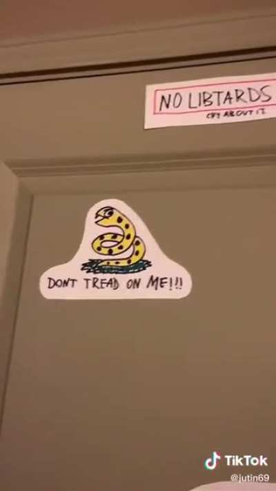 an interesting new roommate