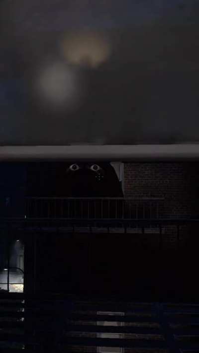 Aaaa-