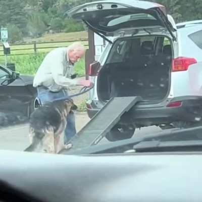Man&rsquo;s best friend