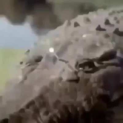 Hmmm