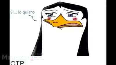 👉👈