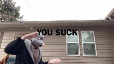 Rat