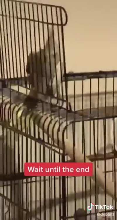 She warned you little buddy