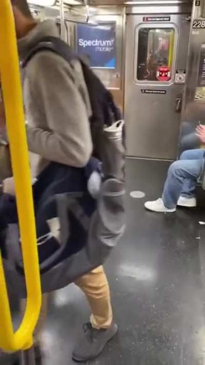 Im&aacute;genes de la Rata Noruega viajando en metro