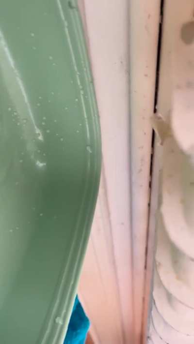 Turned Radiator on and now it won&rsquo;t stopped leaking