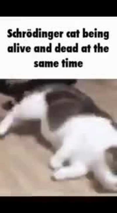 N&atilde;o sei:)