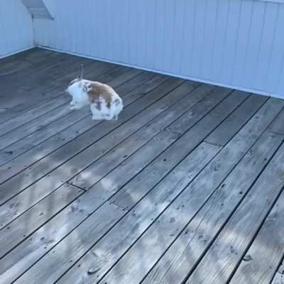 A slow-mo binky!