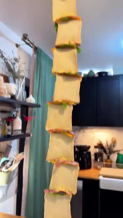 Ham and cheese sandwich&hellip; the long way. Because why not? 🤷&zwj;♂️