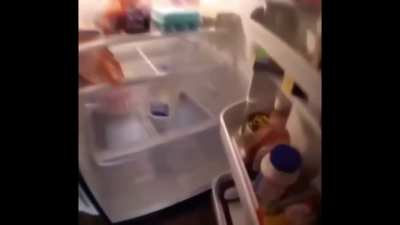 Gabriel in the freezer