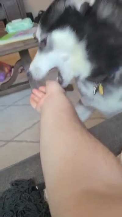 "Pet me!"