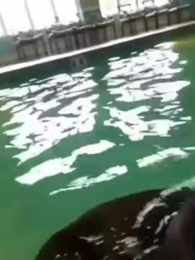 Underwater exploration