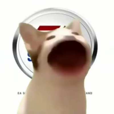 Pop