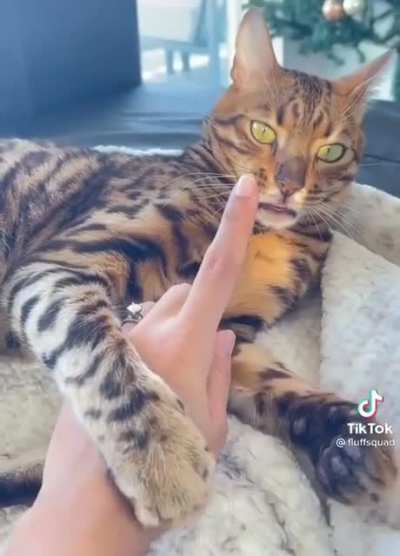 Fine...I&rsquo;ll just bite the pillow