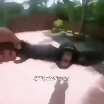Denle upvote para subs gratis