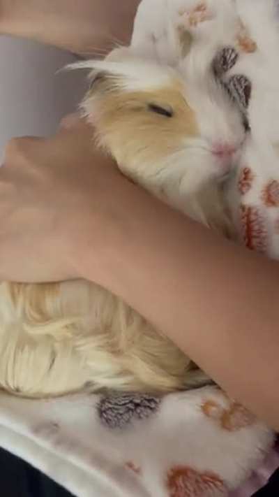"Love you mum, pls don't move. I'm having the best sleep of my life"