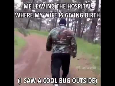 it was a caterpillar