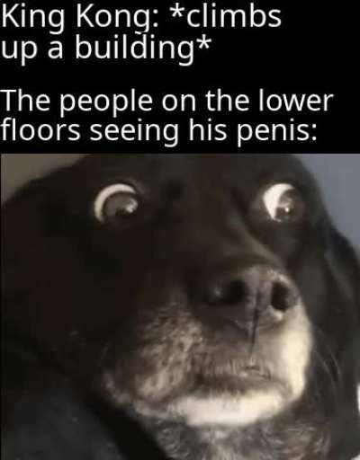 Yo that's massive!