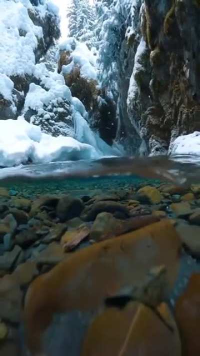 Great shot man