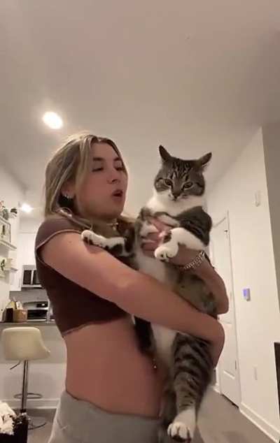 Can you say &ldquo;gato&rdquo;?