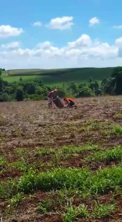 Enquanto isso no interior...