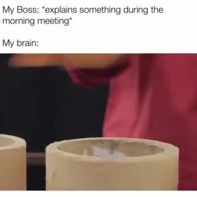 My brain during a meeting