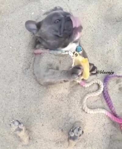 That's how you enjoy your food on the beach