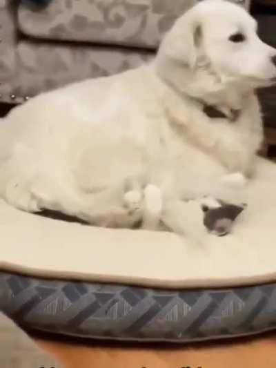 This spot taken?