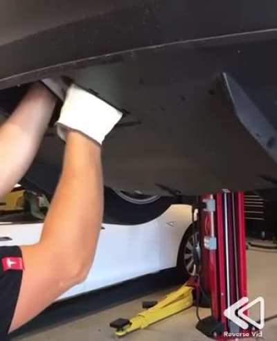Guy puts kitten inside Tesla!!! 🙈😬😱