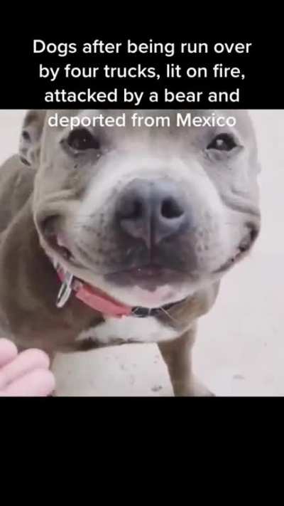 woof