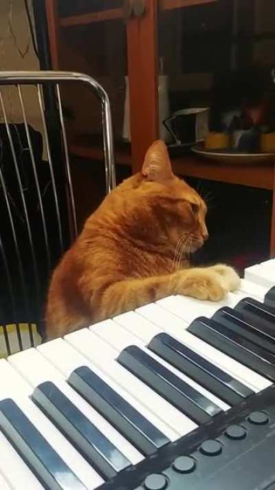 "A song for you!"