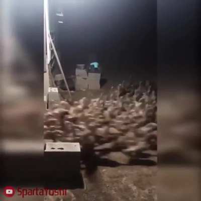 WSB Retards At Market Open