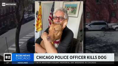 Surveillance video, off-duty officer fatally shoots a dog while the owner was in the line of fire, trying to separate the two dogs.