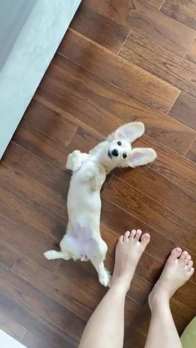 It's so cute 