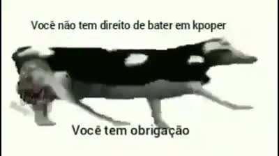 Voc&ecirc; tem obriga&ccedil;&atilde;o, seu arrombando 😠🖐️
