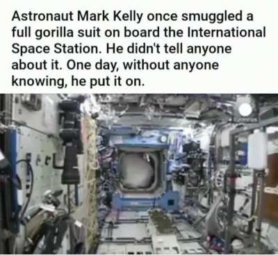 Me: Nintendo can we have Donkey Kong in space? Nintendo: we have Donkey Kong in space at home. Donkey Kong in space at home: