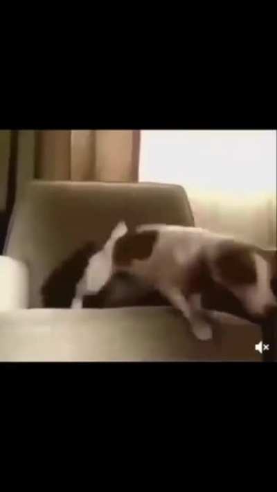 Oh nigga