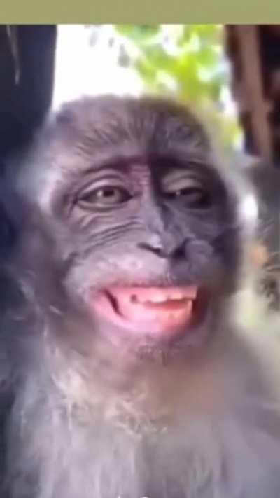 Eu🐵Nvr
