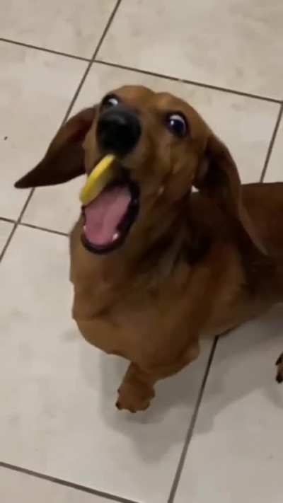 "Mom, you fooled me, that wasn't rich!"