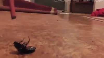 Pink pumps vs roaches