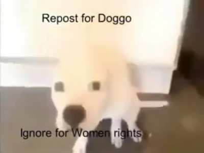 fuck yeah